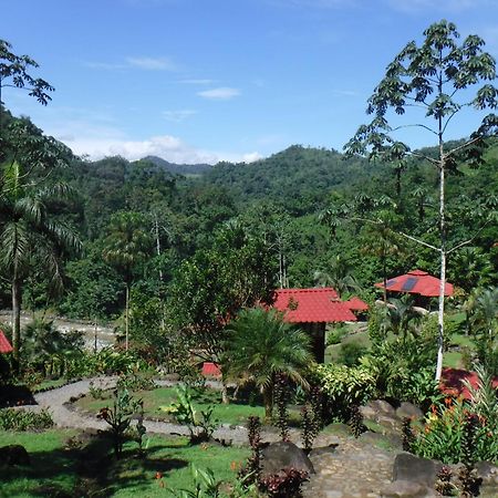 Pacuare River Lodge Bajo Tigre Екстериор снимка