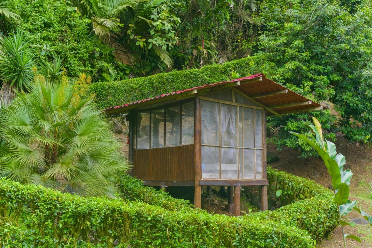 Pacuare River Lodge Bajo Tigre Екстериор снимка
