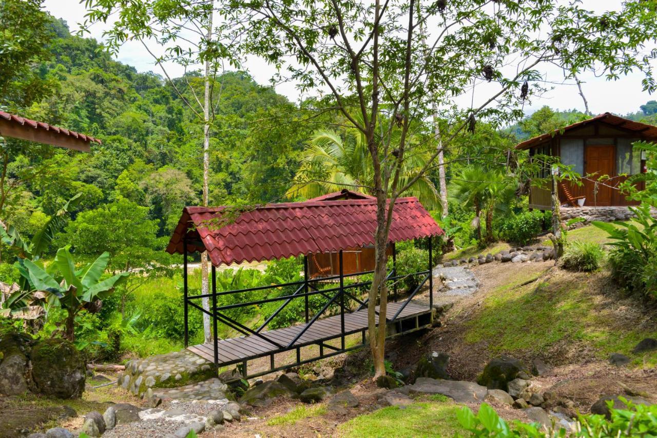 Pacuare River Lodge Bajo Tigre Екстериор снимка