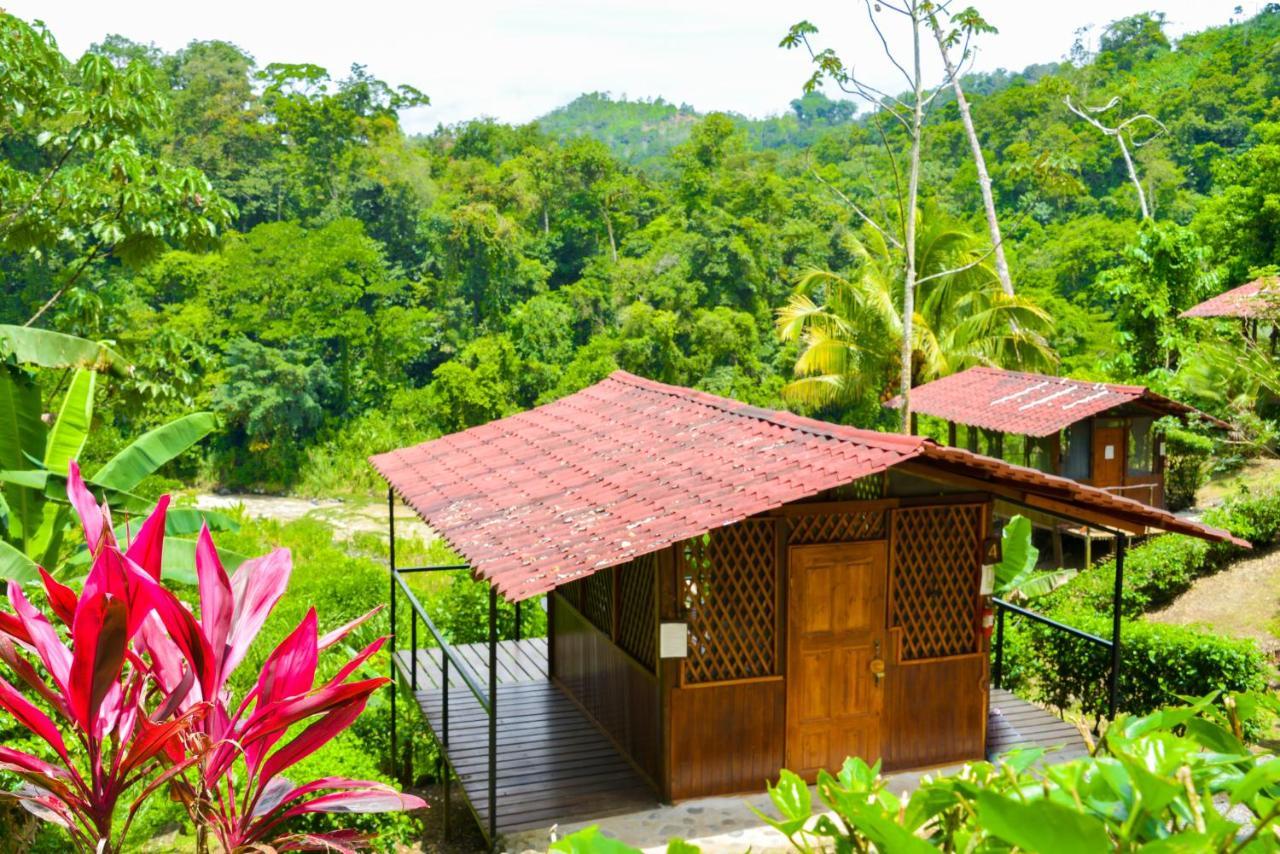 Pacuare River Lodge Bajo Tigre Екстериор снимка