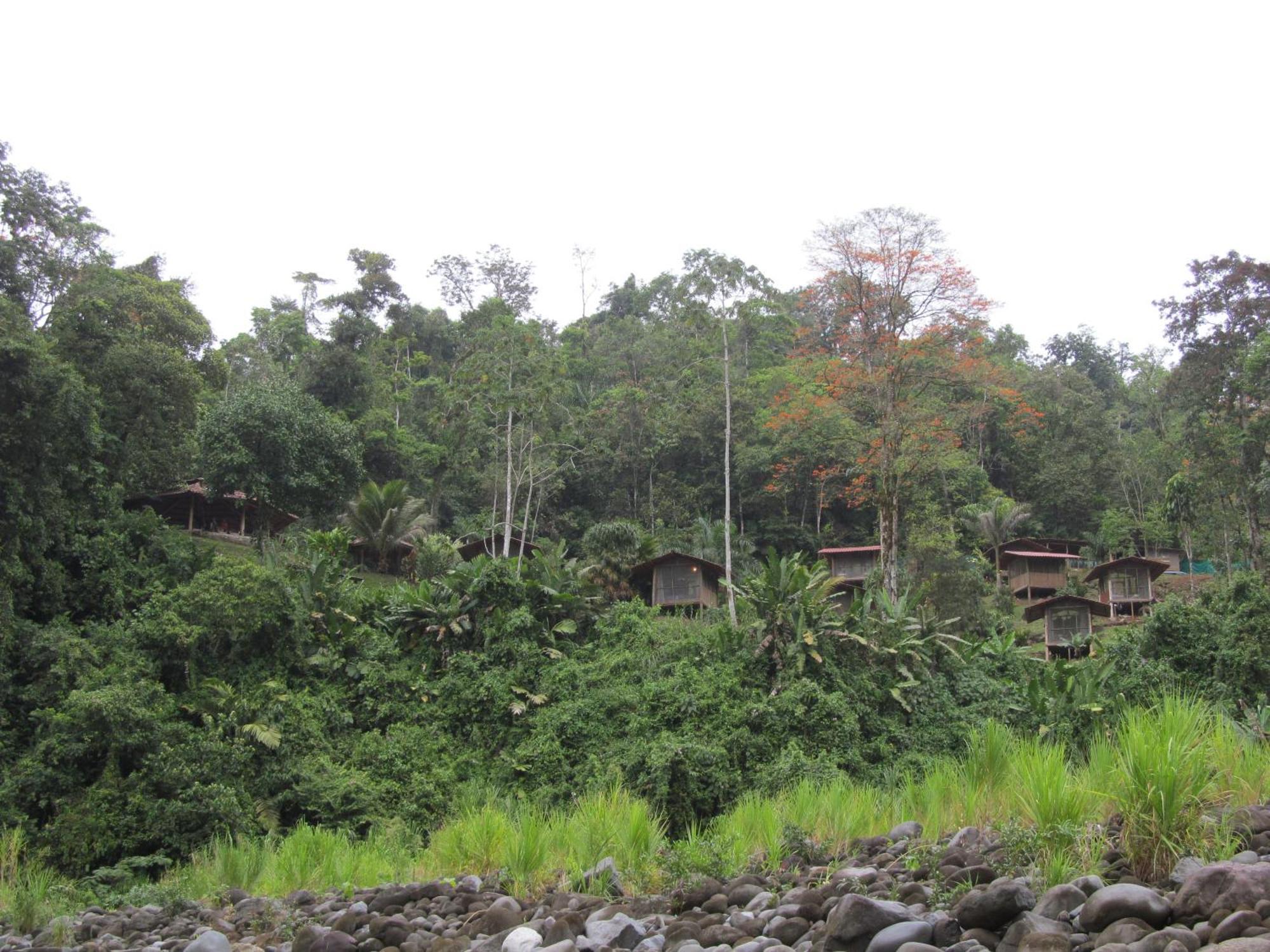 Pacuare River Lodge Bajo Tigre Екстериор снимка