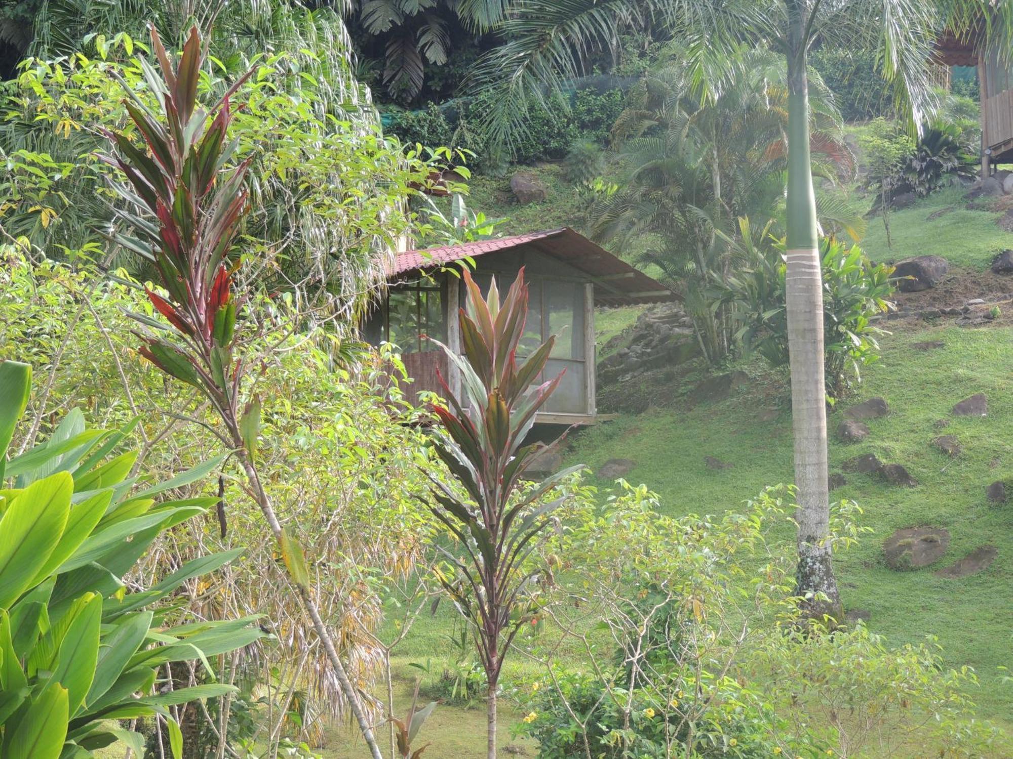 Pacuare River Lodge Bajo Tigre Екстериор снимка