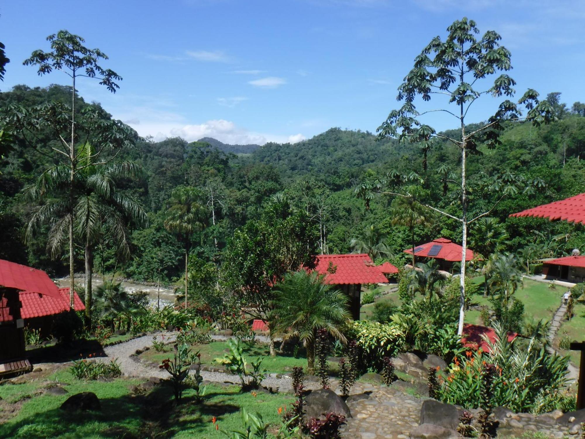 Pacuare River Lodge Bajo Tigre Екстериор снимка