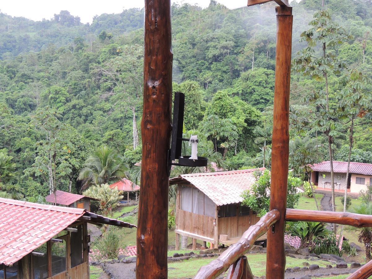 Pacuare River Lodge Bajo Tigre Екстериор снимка