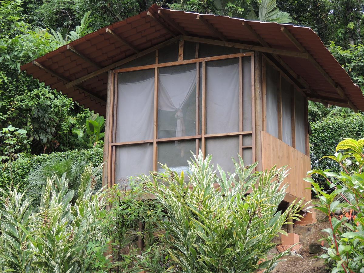 Pacuare River Lodge Bajo Tigre Екстериор снимка