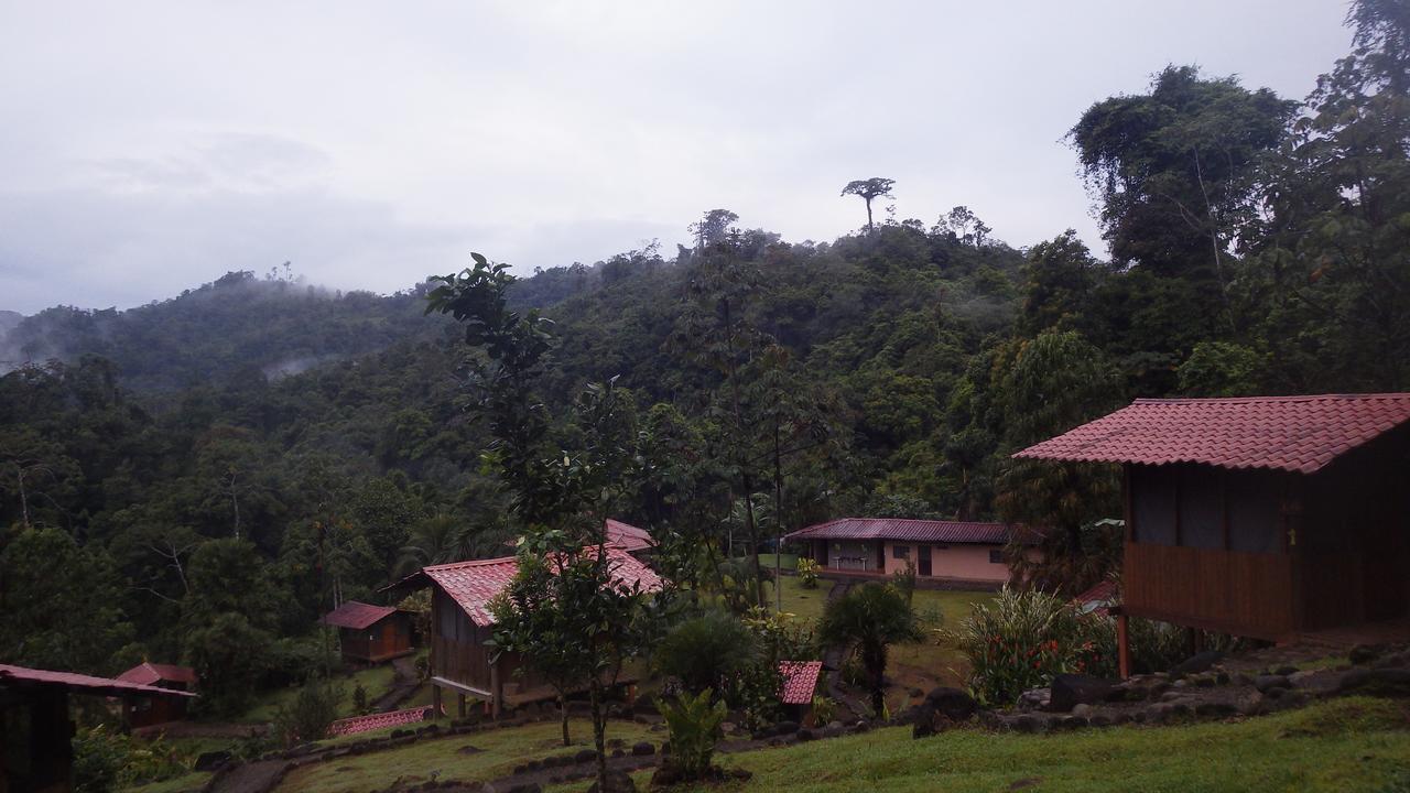 Pacuare River Lodge Bajo Tigre Екстериор снимка
