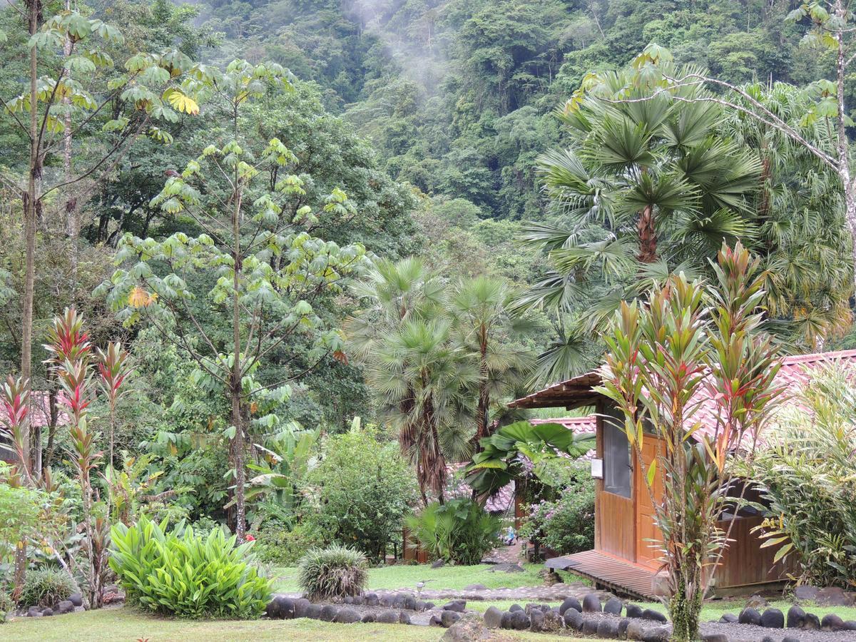 Pacuare River Lodge Bajo Tigre Екстериор снимка