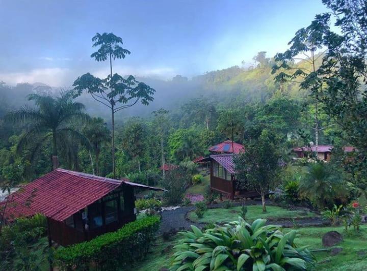 Pacuare River Lodge Bajo Tigre Екстериор снимка