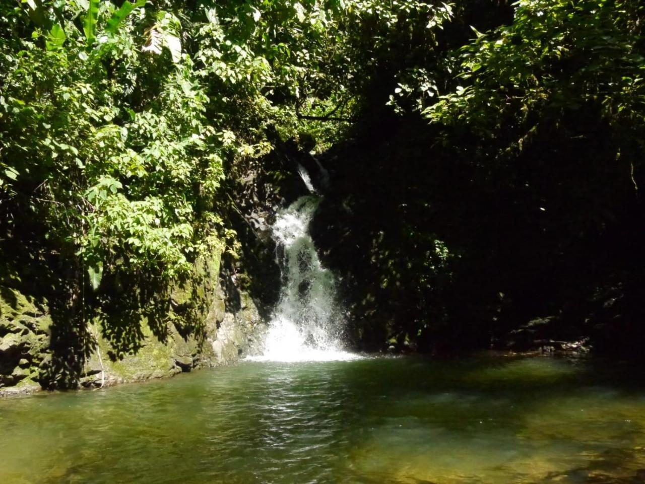 Pacuare River Lodge Bajo Tigre Екстериор снимка