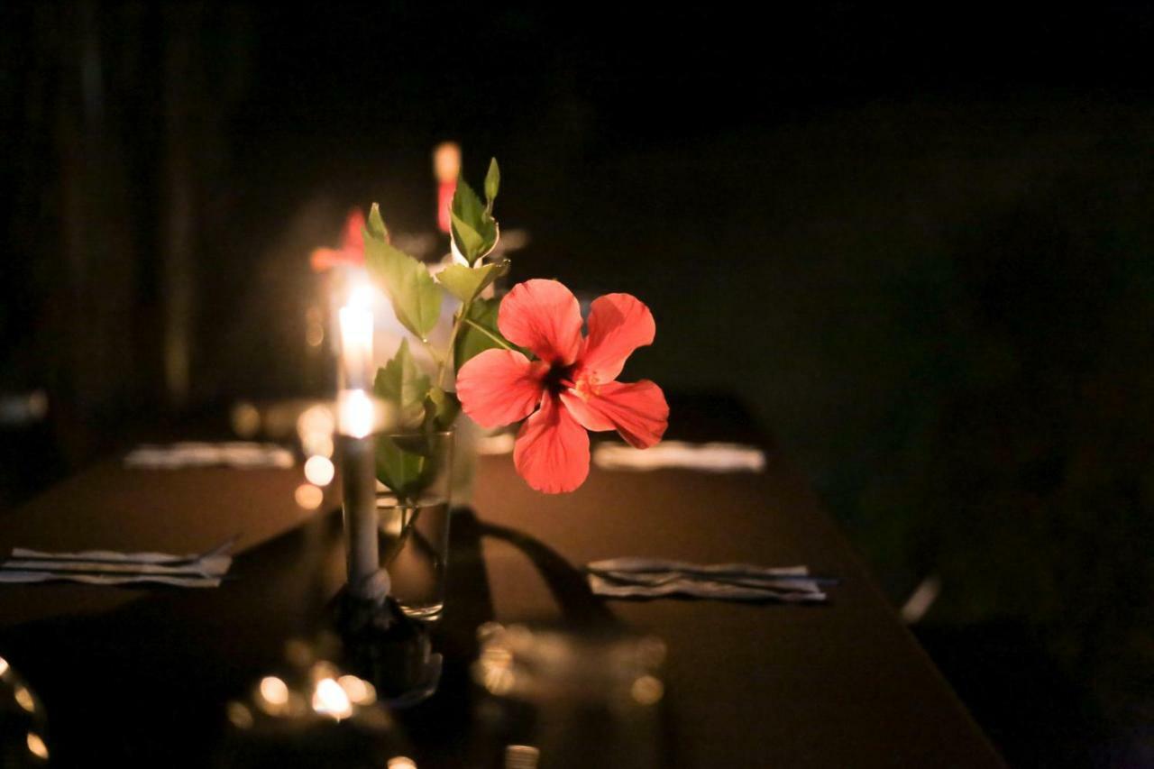 Pacuare River Lodge Bajo Tigre Екстериор снимка